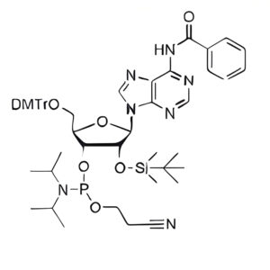 DMT-2'-0-TBDMS-A(Bz)-CE-Phosphoramidite