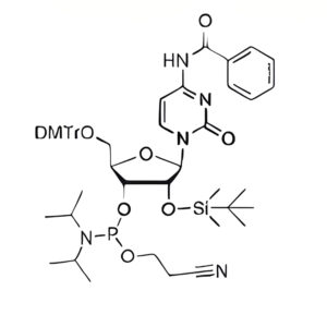 DMT-2'-O-TBDMS-C(Bz)-CE-Phosphoramidite