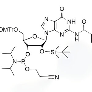 DMT-2'-O-TBDMS-G(ibu)-CE-Phosphoramidite