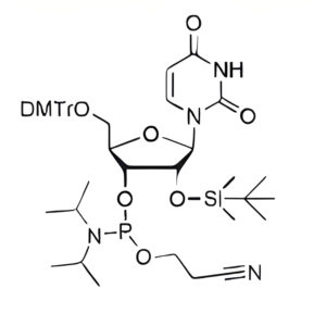 DMT-2'-0-TBDMS-U-CE-Phosphoramidite