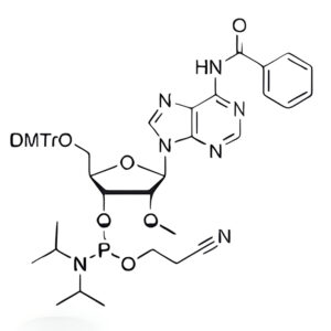DMT-2'-OMe-A(Bz)-CE-Phosphoramidite