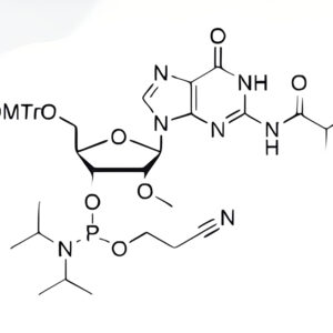 DMT-2'-OMe-G(ibu)-CE-Phosphoramidite