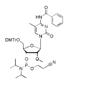 DMT-2'-OMe-5'-Me-C(Bz)-CE-Phosphoramidite