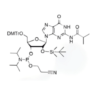 DMT-2'-O-TBDMS-G(ibu)-CE-Phosphoramidite