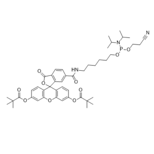 5’-Fluorescein CE-Phosphoramidite(6-FAM)