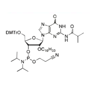 DMT-2'-0-C16-G(ibu)-CE-Phosphoramidite