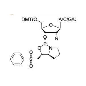 PSM(R or S)