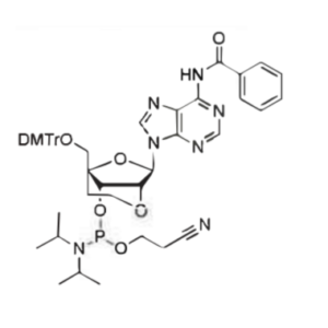 ENA-A(Bz)-Phosphoramidite