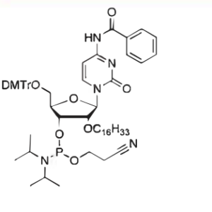 DMT-2'-O-C16-C(Bz)-CE-Phosphoramidite