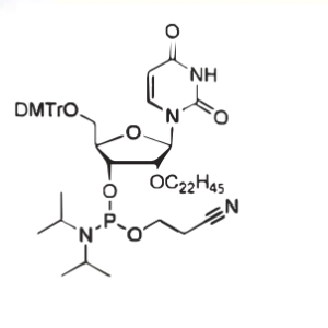 DMT-2'-0-C22-U-CE-Phosphoramidite