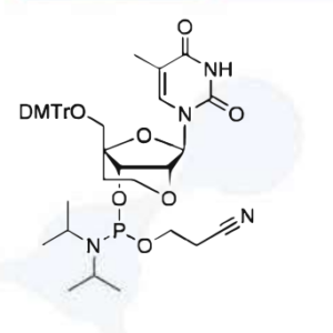 ENA-T-Phosphoramidite