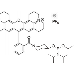CAL Fluor Red 610 Amidite