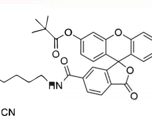 5’-Fluorescein CE-Phosphoramidite(6-FAM)CAS:204697-37-0