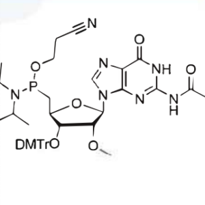 3'-0-DMTr-2'-OMe-G(ibu)-CE-Reverse-Phosphoramidite