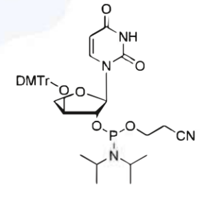 TNA-UCE-Phosphoramidite